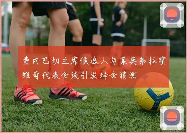 费内巴切主席候选人与莱奥弗拉霍维奇代表会谈引发转会猜测